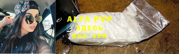 PSILOCYBIN Богородск