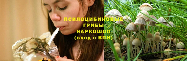 PSILOCYBIN Богородск