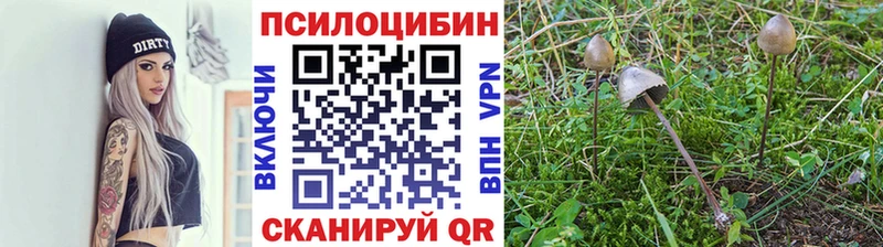 Псилоцибиновые грибы прущие грибы Горняк